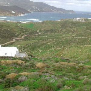 Exclusive 4,224m Sea-View Parcel in Ftelias, Mykonos
